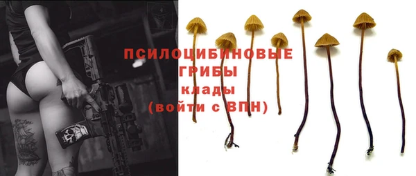гидропоника Ельня