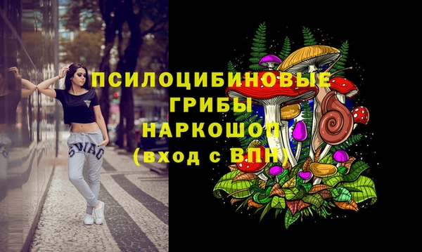 spice Елизово